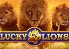 Lucky Lions